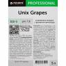 Профхим освежитель воздуха антибакт. Pro-Brite/Unix Grapes, 5л